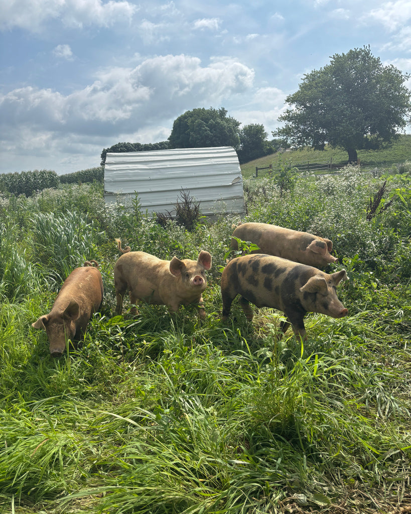 Bulk GrassFed Pork