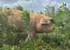 Bulk GrassFed Pork